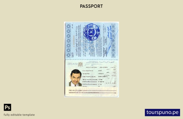 Plantilla de pasaporte de Siria lista para imprimir